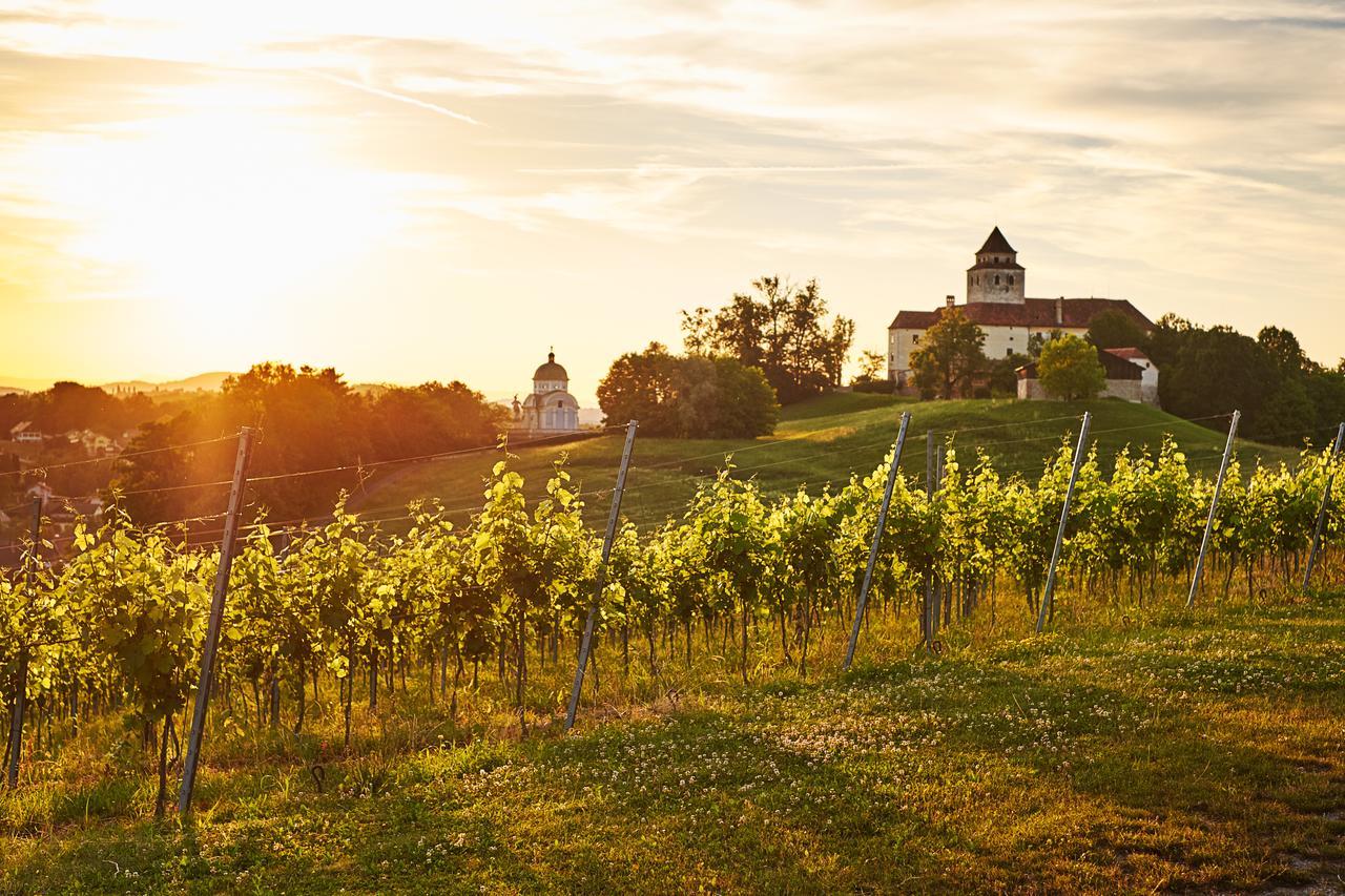 Loisium Wine & Spa Hotel Suedsteiermark Ehrenhausen Eksteriør bilde
