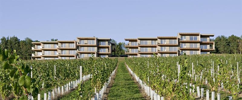 Loisium Wine & Spa Hotel Suedsteiermark Ehrenhausen Eksteriør bilde